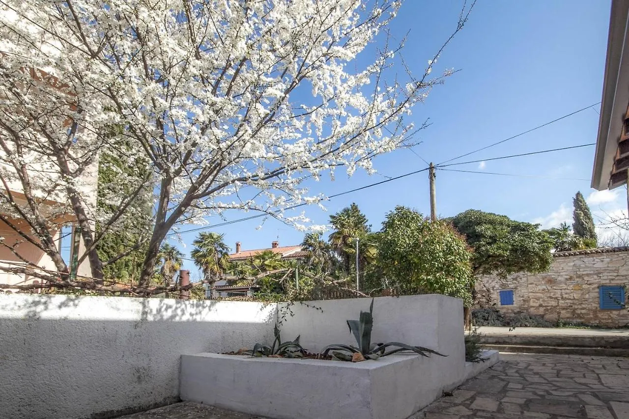Arte No.9 Apartman Novigrad Istria 0*,  Horvátország